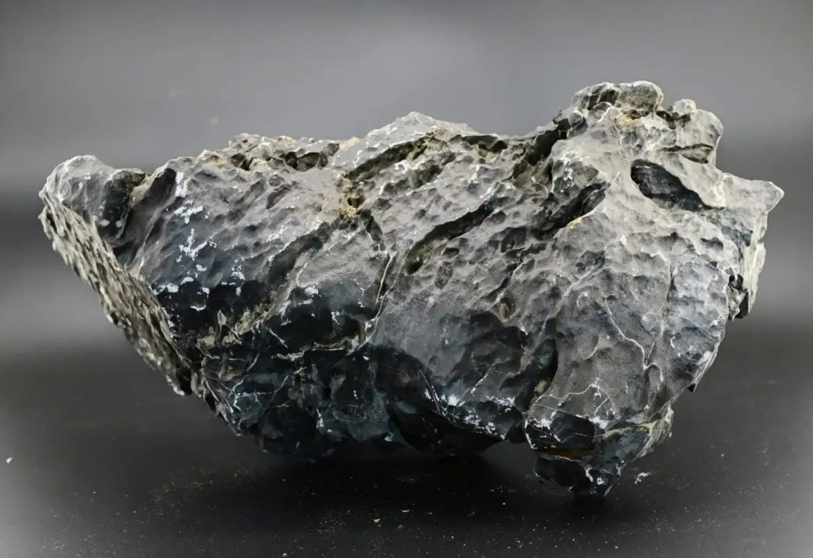 Black Seiryu Stone - Superior Shrimp & Aquatics