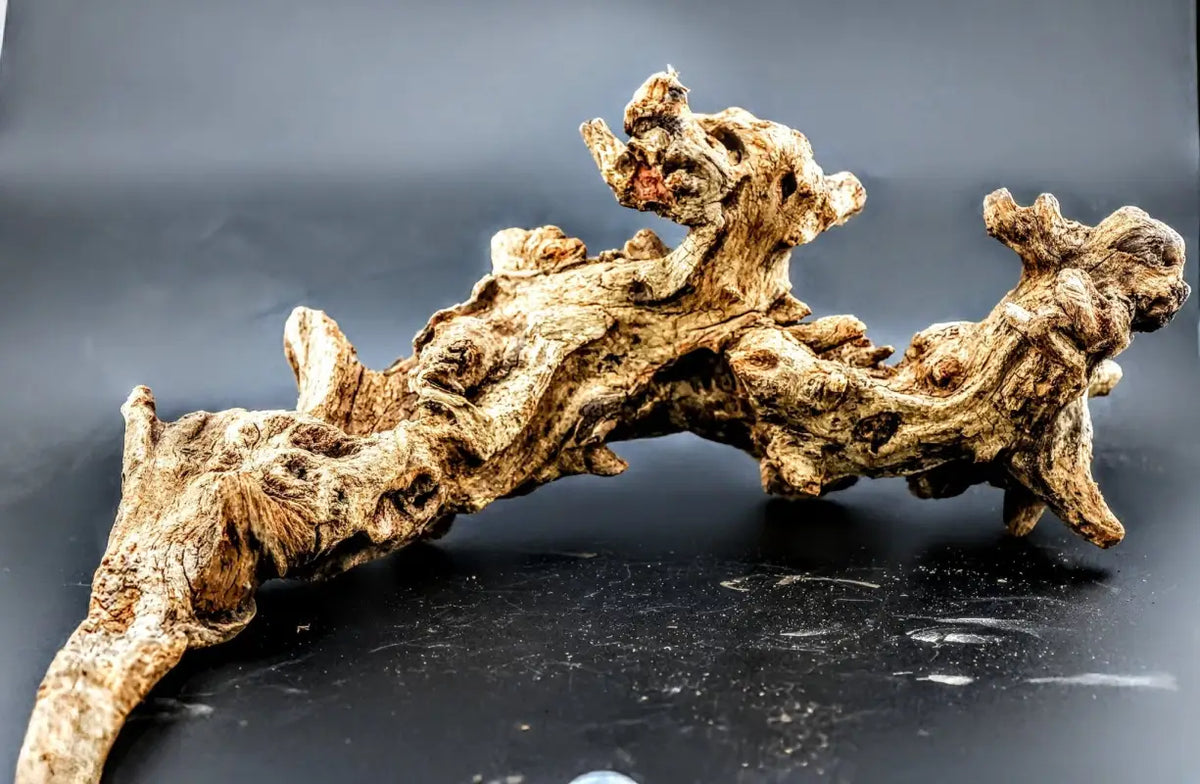 Driftwood - Superior Shrimp & Aquatics