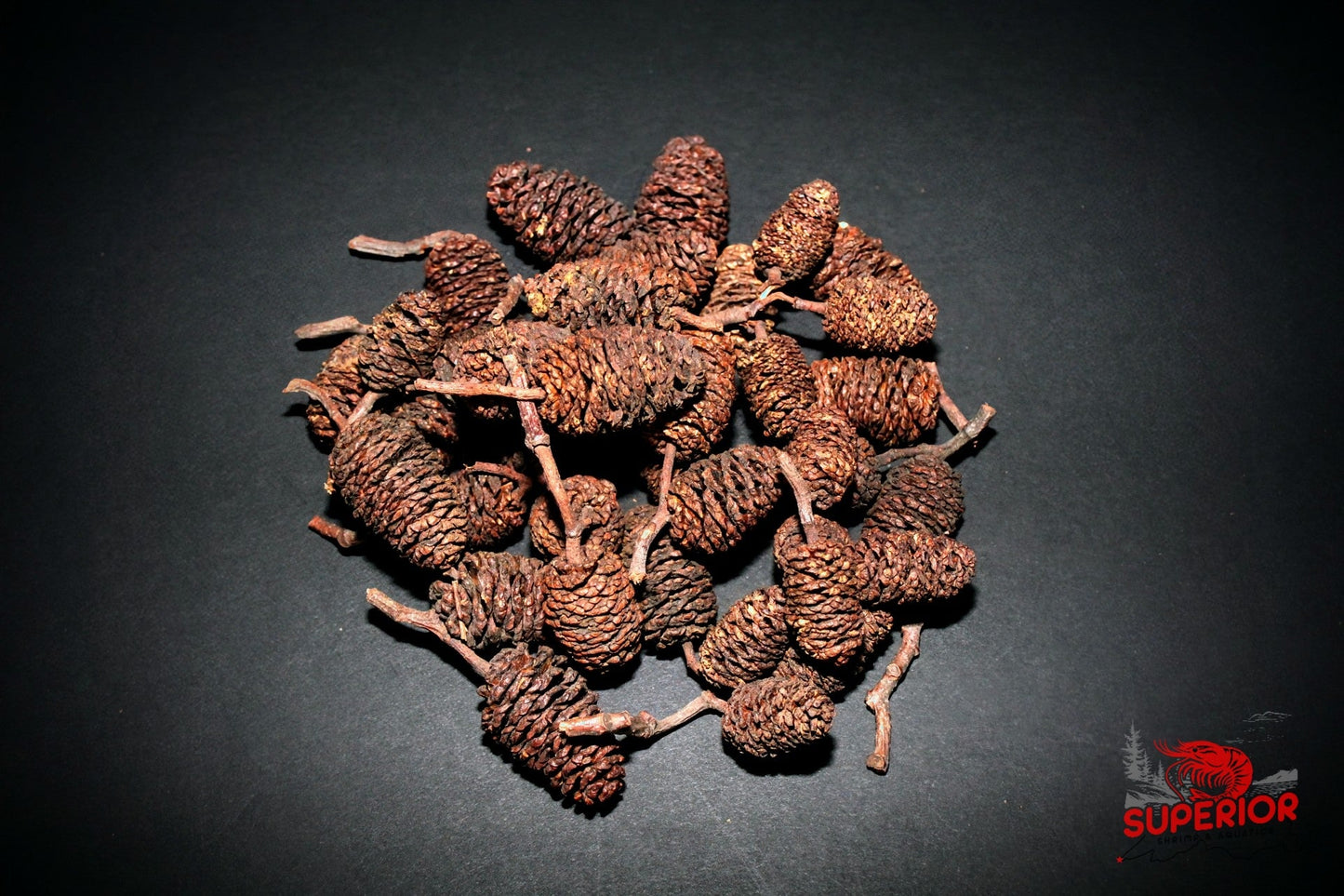 Alder Cones - Superior Shrimp & Aquatics