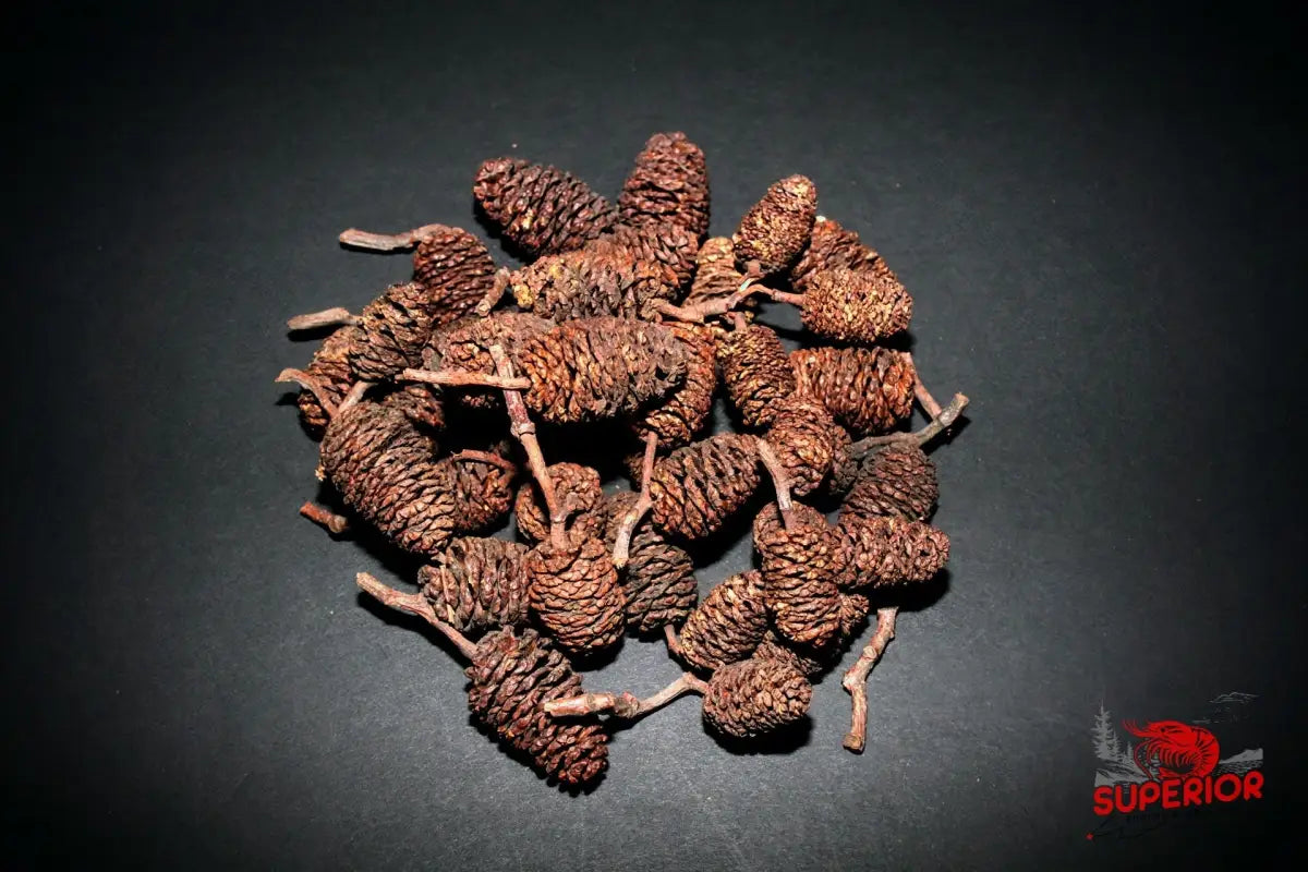 Alder Cones - Superior Shrimp & Aquatics