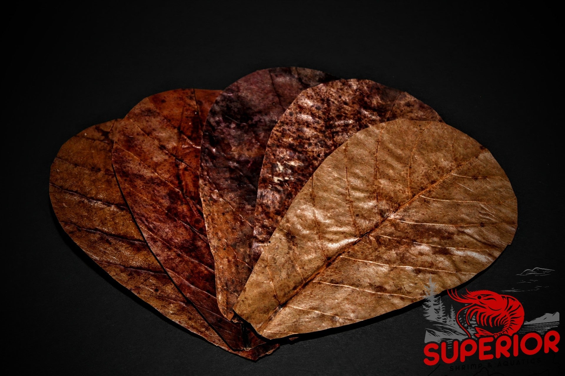 Almond Leaves - Superior Shrimp & Aquatics
