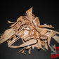 Banana Leaves - Superior Shrimp & Aquatics