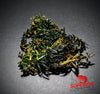 Bucephalandra Catherinae Green - Superior Shrimp & Aquatics