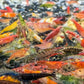 Culls - Superior Shrimp & Aquatics