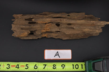 Dragon Wood - Superior Shrimp & Aquatics