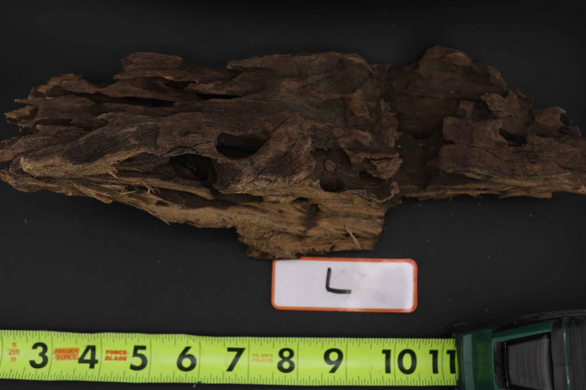 Dragon Wood - Superior Shrimp & Aquatics