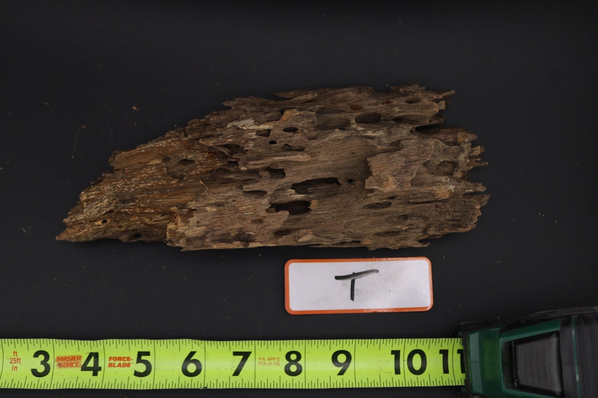 Dragon Wood - Superior Shrimp & Aquatics