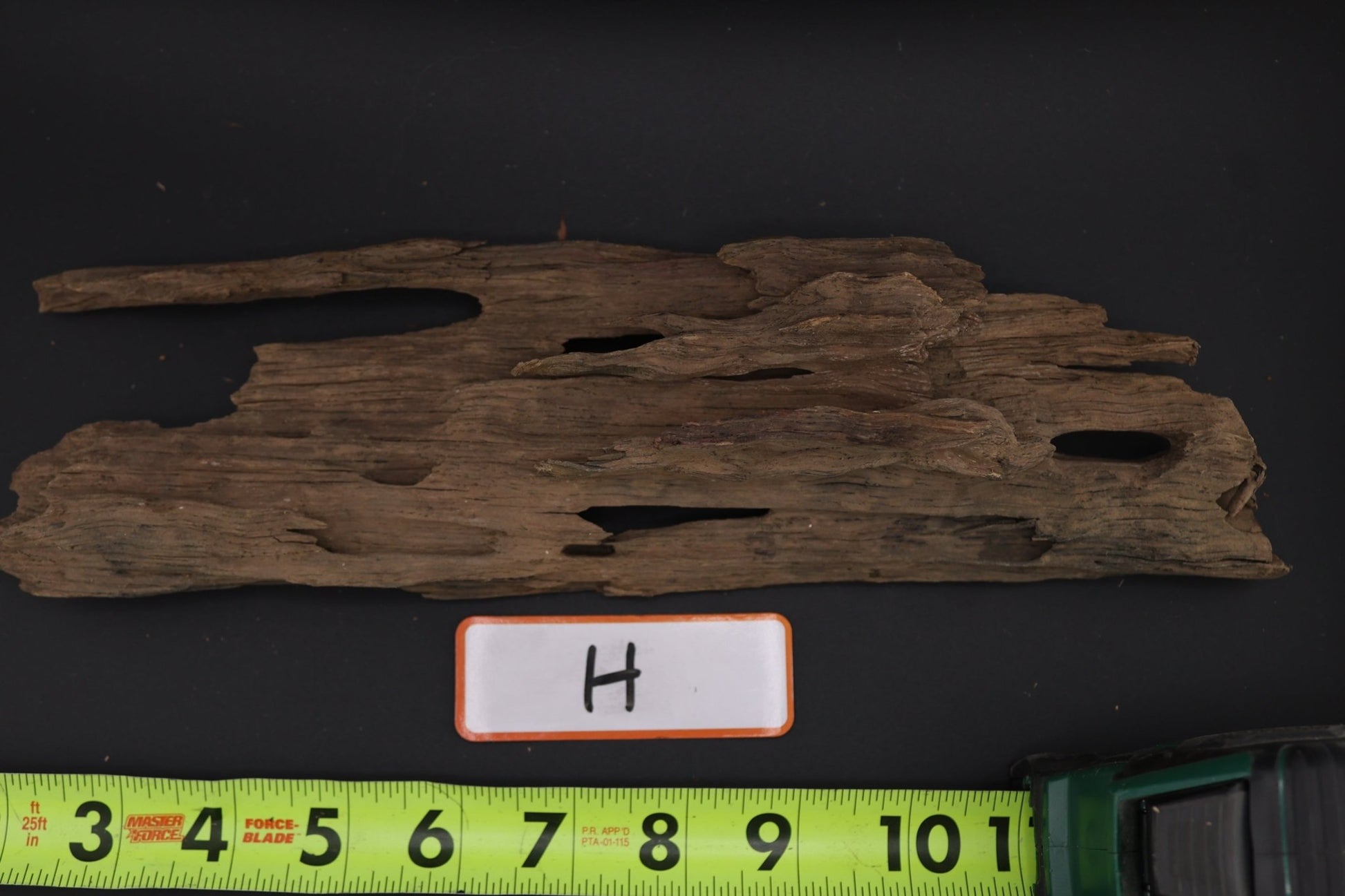 Dragon Wood - Superior Shrimp & Aquatics