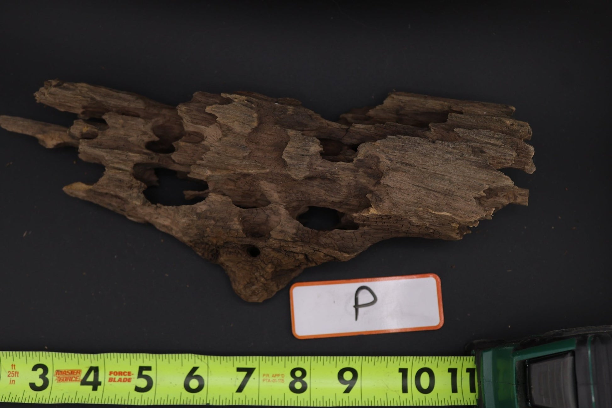 Dragon Wood - Superior Shrimp & Aquatics