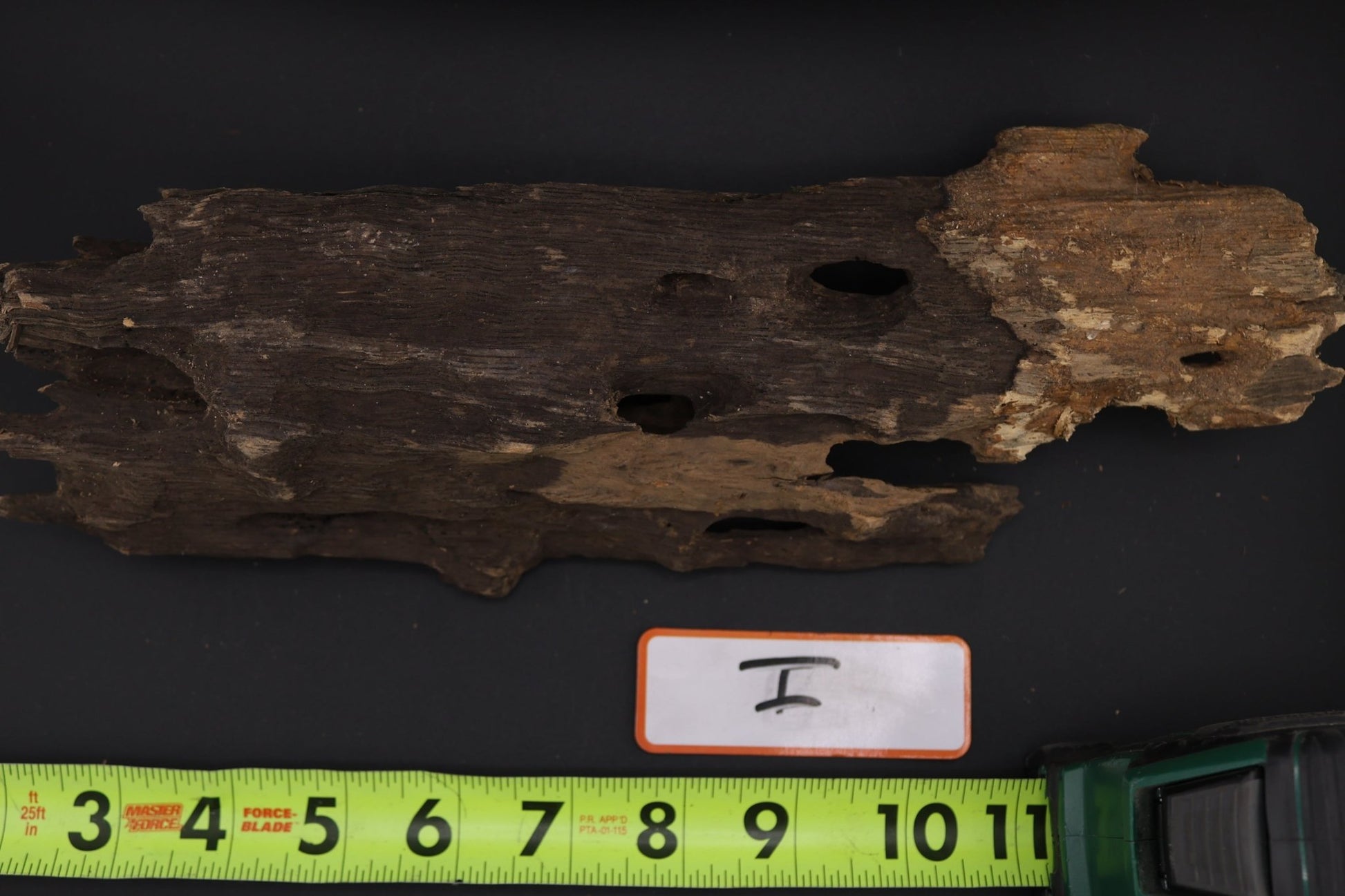 Dragon Wood - Superior Shrimp & Aquatics