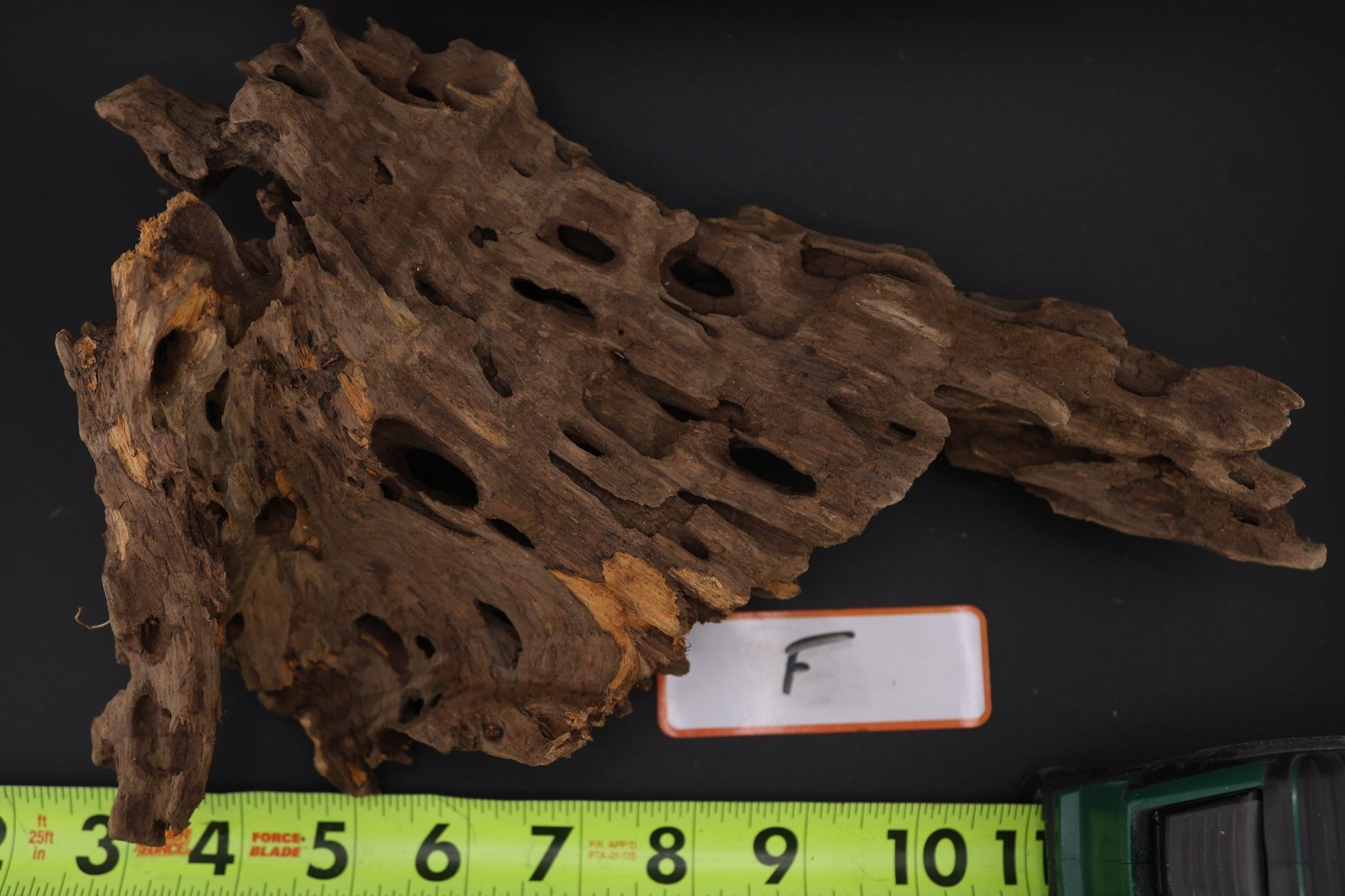 Dragon Wood - Superior Shrimp & Aquatics