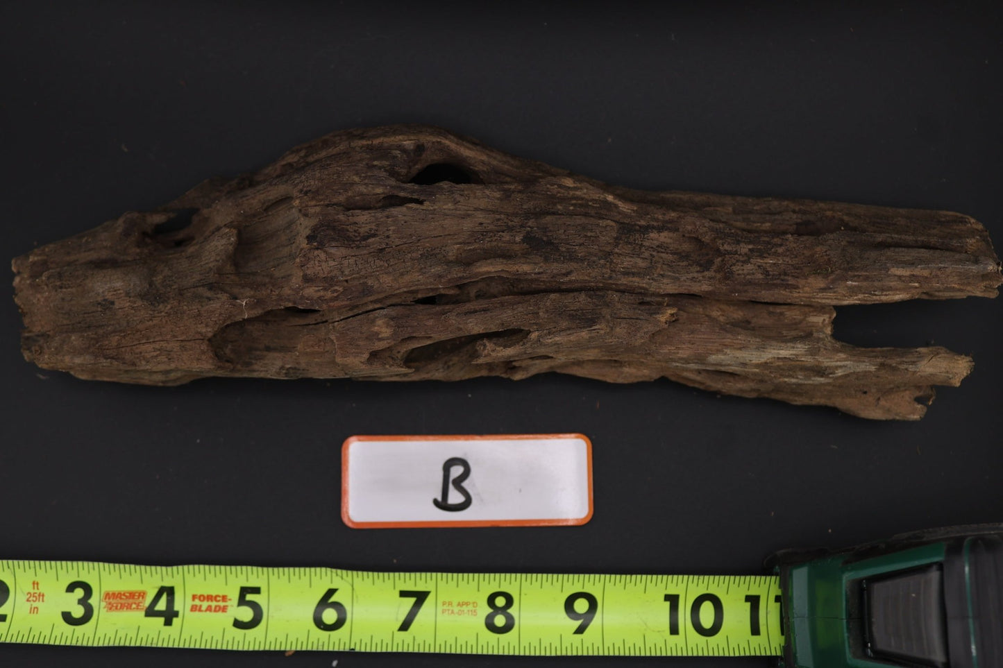 Dragon Wood - Superior Shrimp & Aquatics