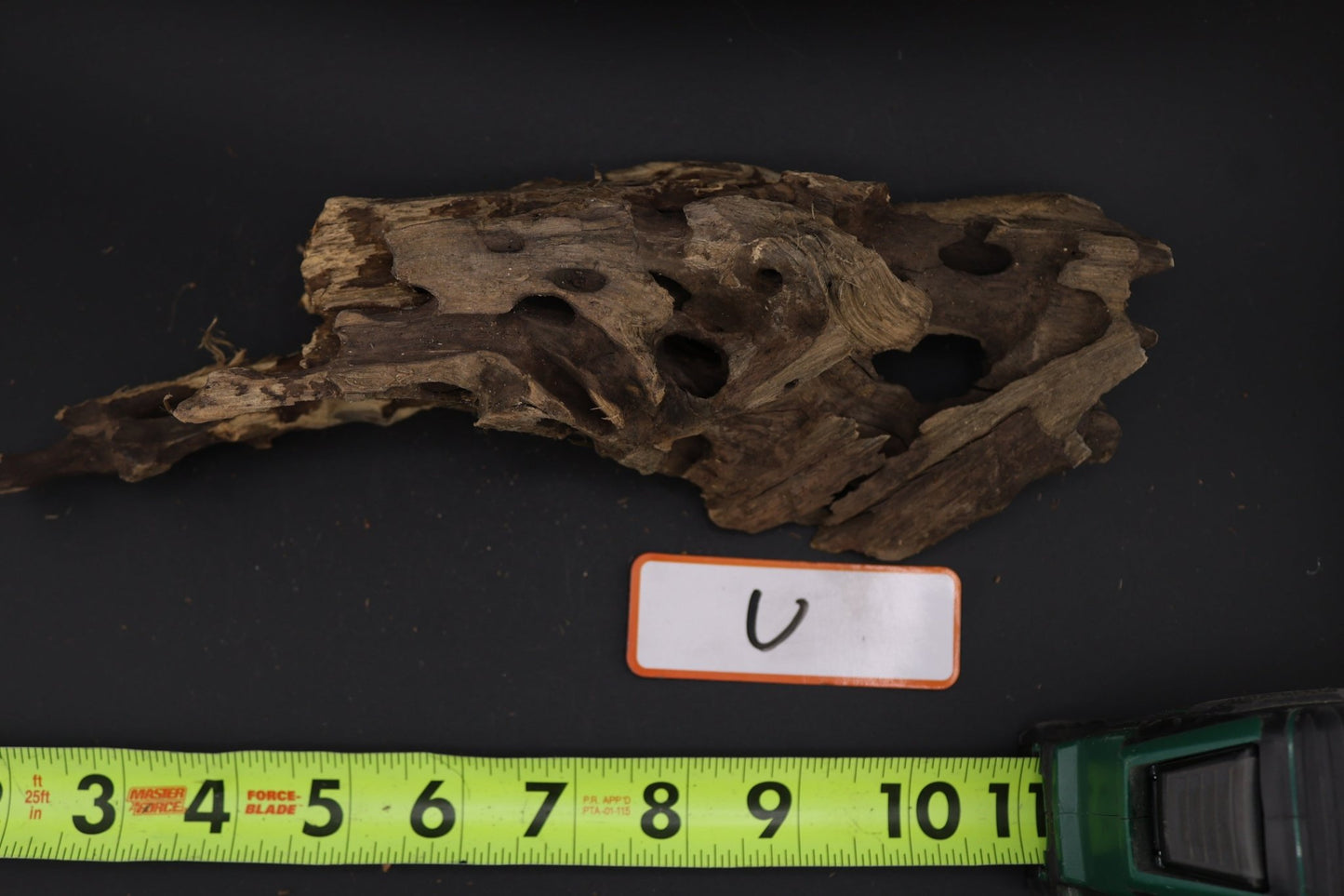 Dragon Wood - Superior Shrimp & Aquatics