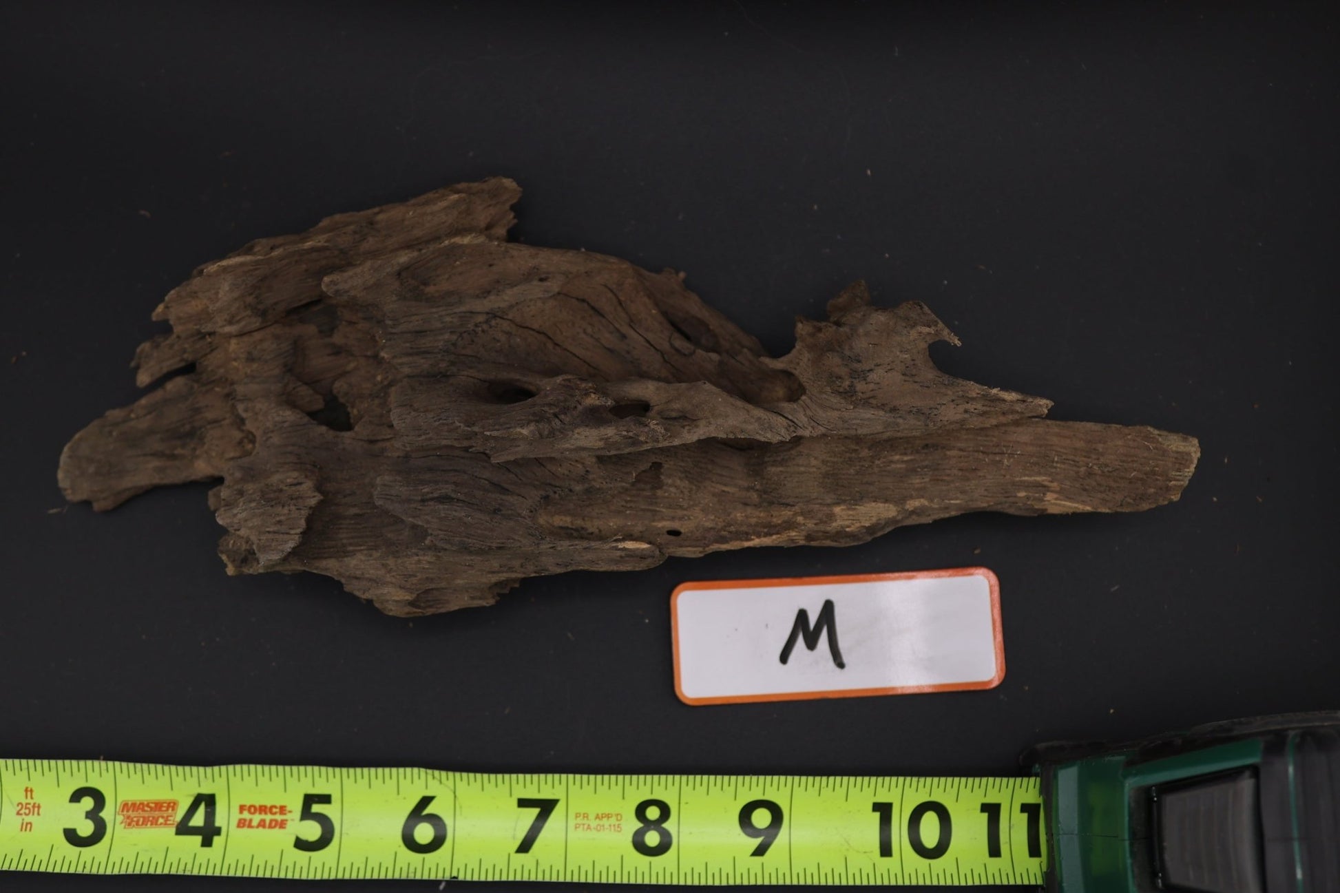 Dragon Wood - Superior Shrimp & Aquatics