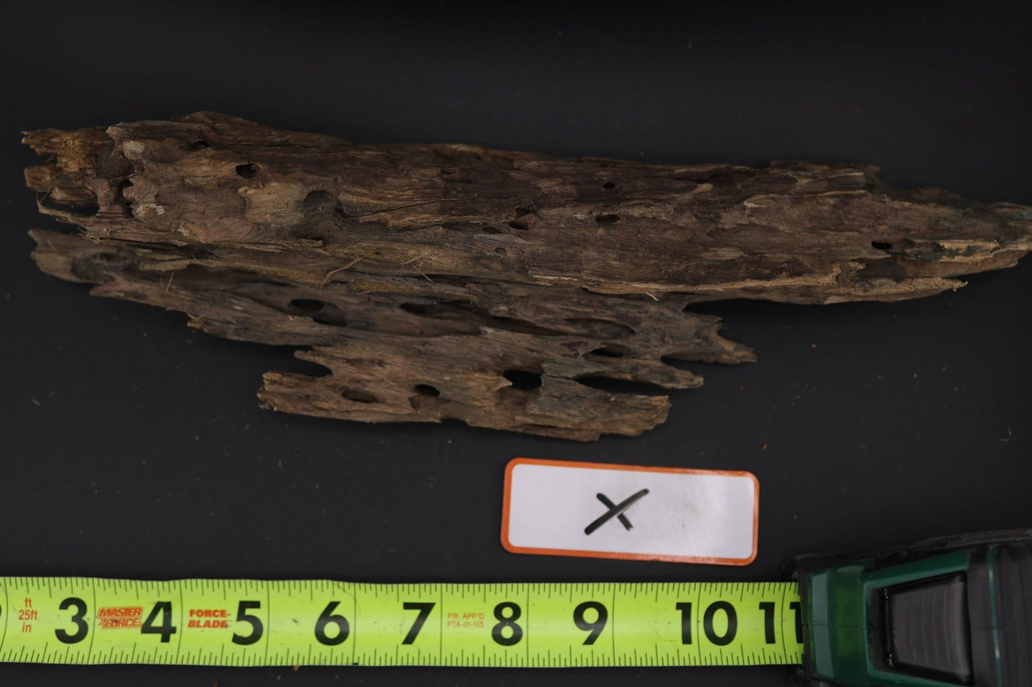 Dragon Wood - Superior Shrimp & Aquatics