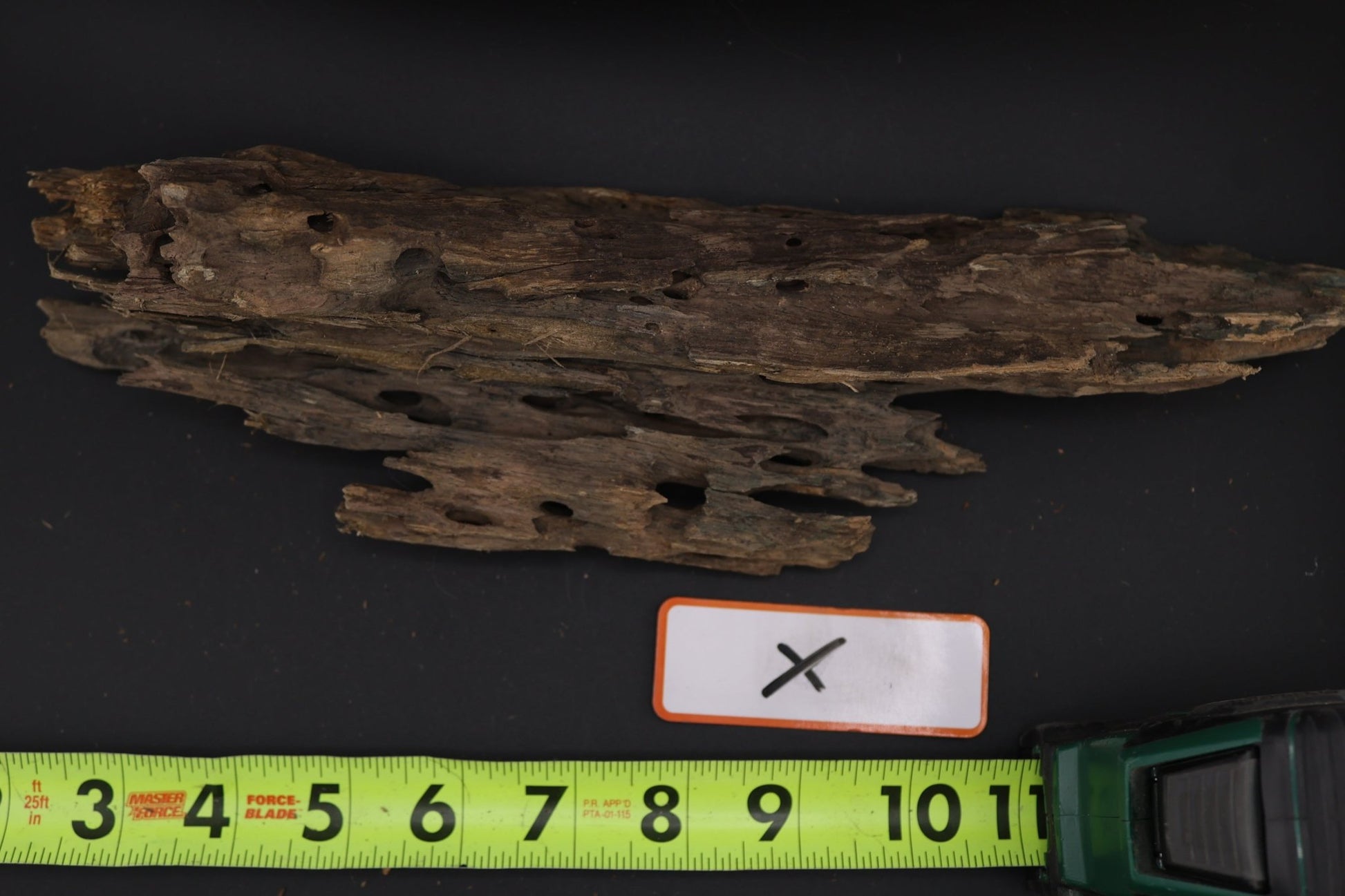 Dragon Wood - Superior Shrimp & Aquatics