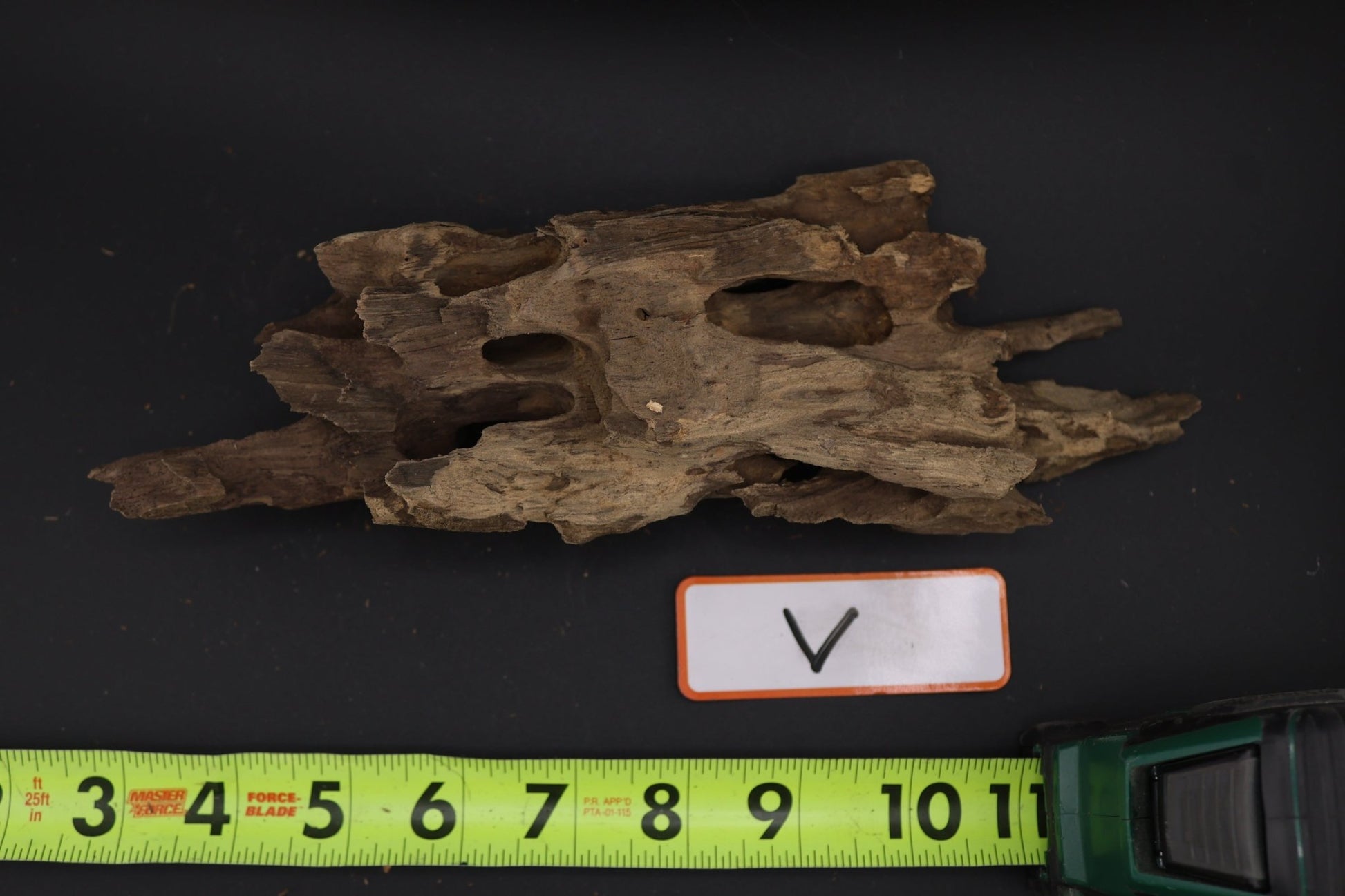 Dragon Wood - Superior Shrimp & Aquatics