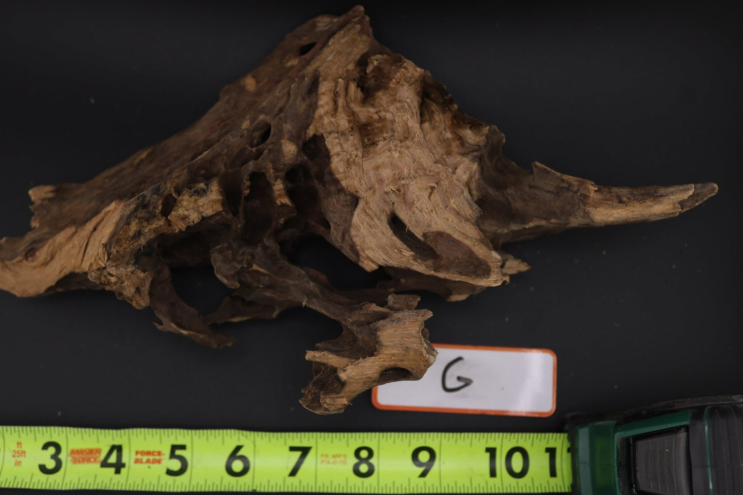 Dragon Wood - Superior Shrimp & Aquatics