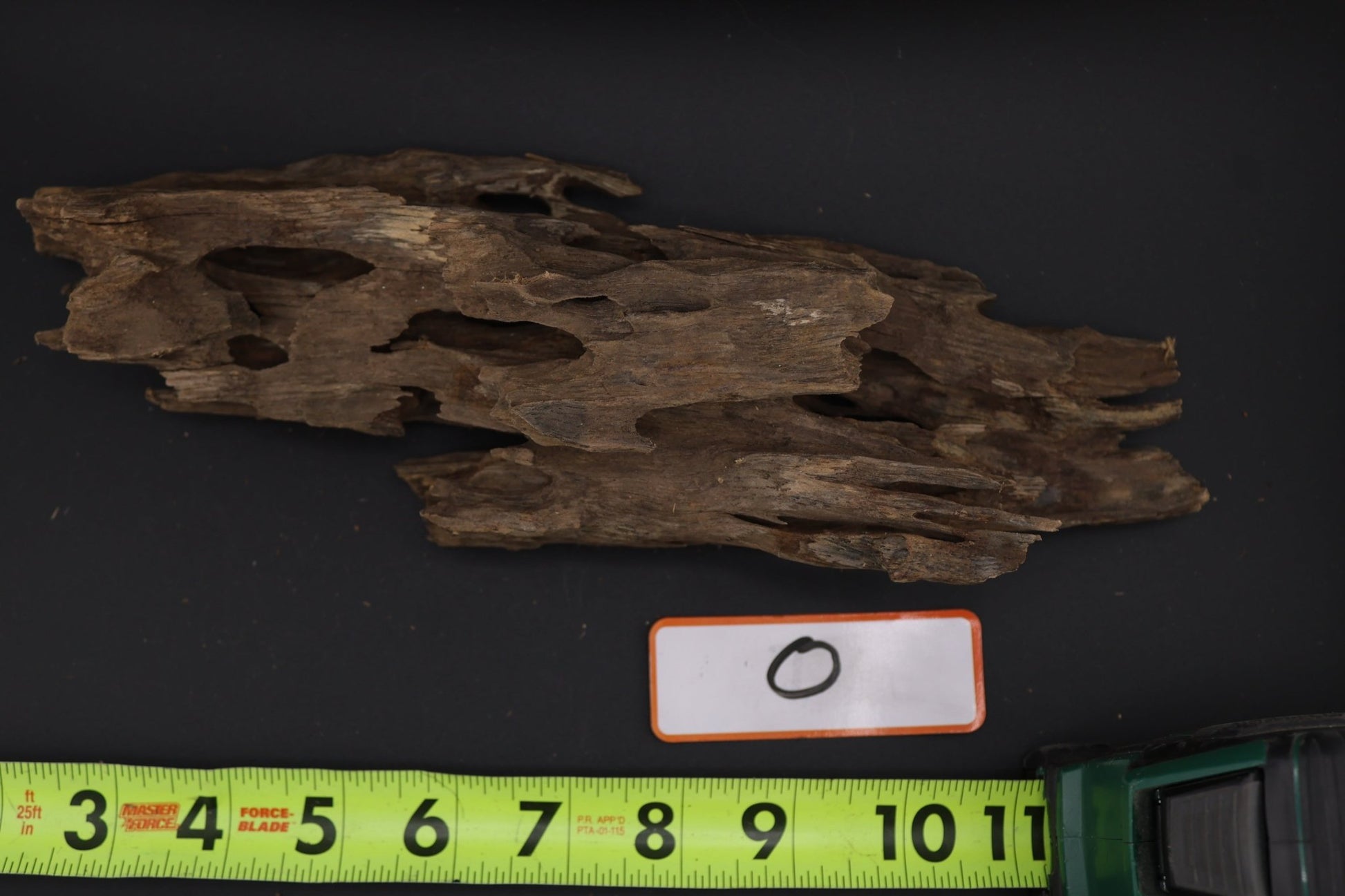 Dragon Wood - Superior Shrimp & Aquatics