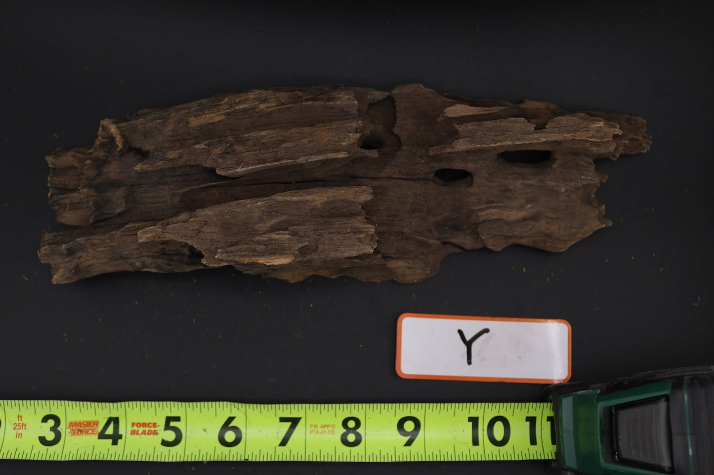 Dragon Wood - Superior Shrimp & Aquatics