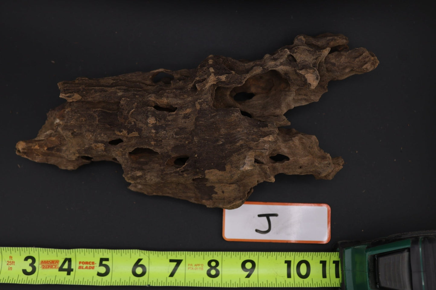 Dragon Wood - Superior Shrimp & Aquatics