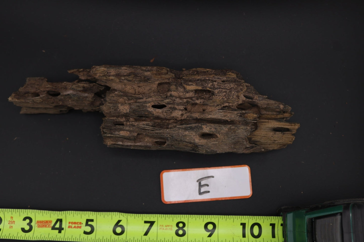 Dragon Wood - Superior Shrimp & Aquatics