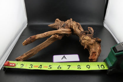 Driftwood - Superior Shrimp & Aquatics