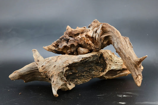 Driftwood - Superior Shrimp & Aquatics