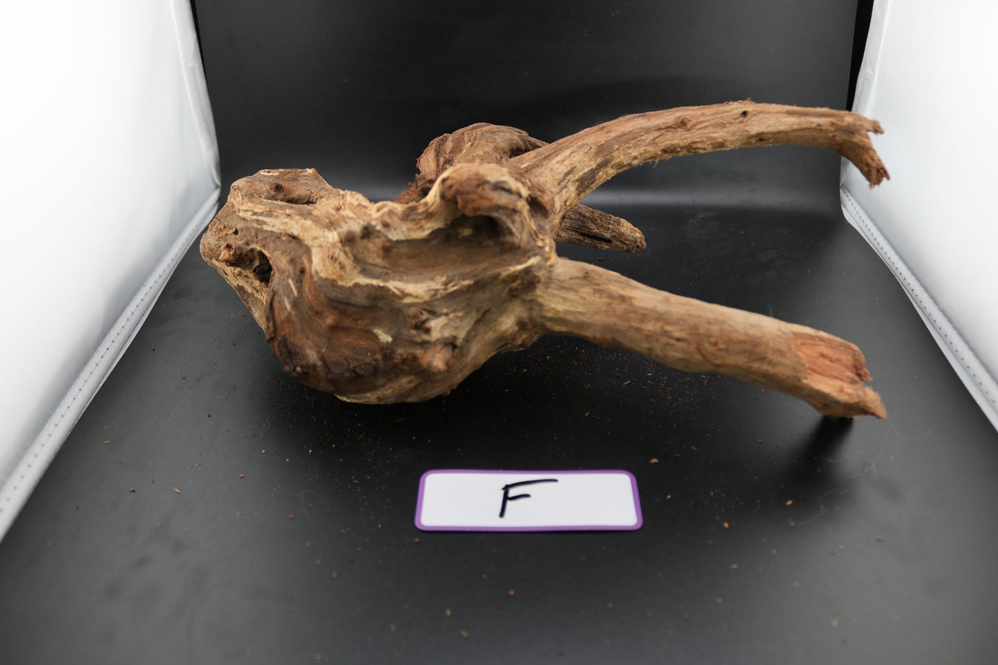 Driftwood - Superior Shrimp & Aquatics