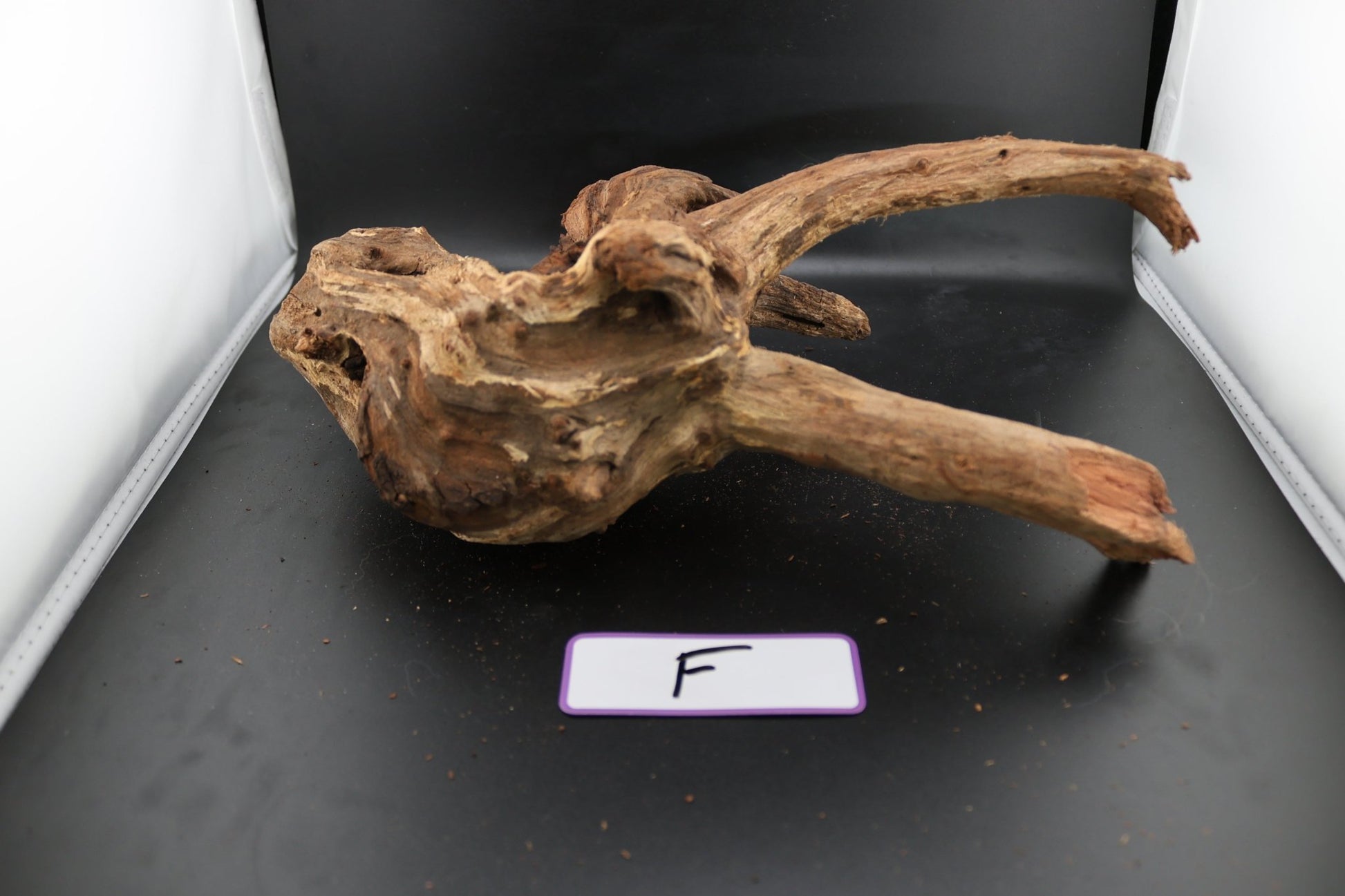 Driftwood - Superior Shrimp & Aquatics