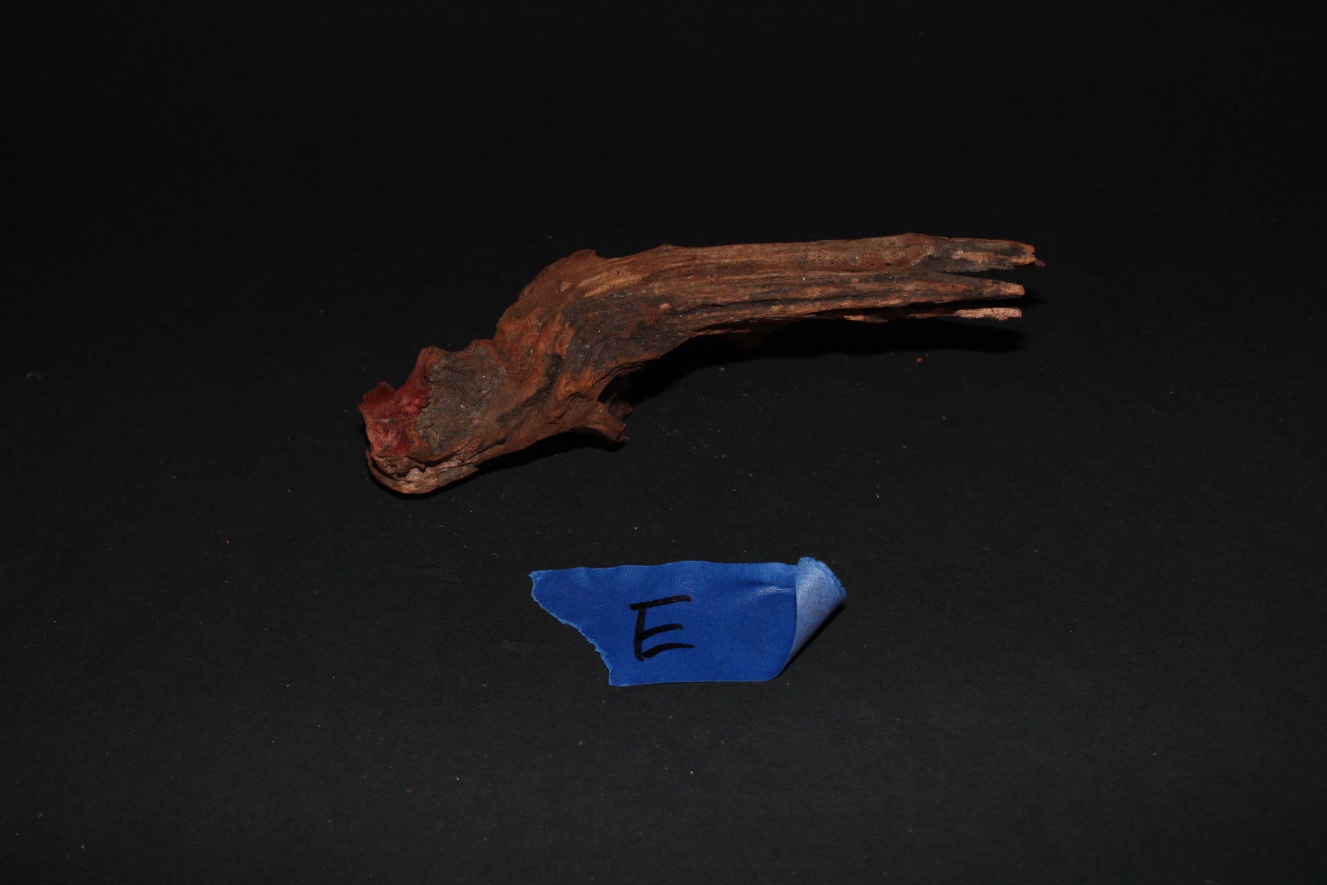 Driftwood - Superior Shrimp & Aquatics