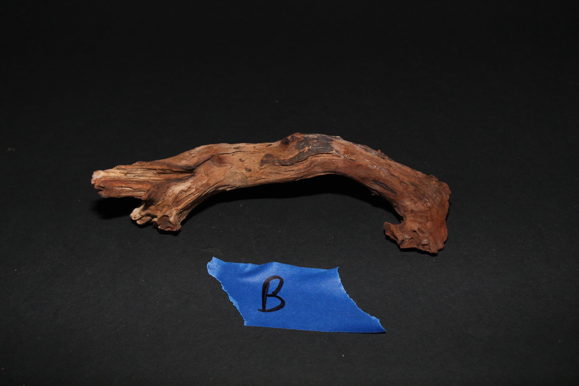 Driftwood - Superior Shrimp & Aquatics