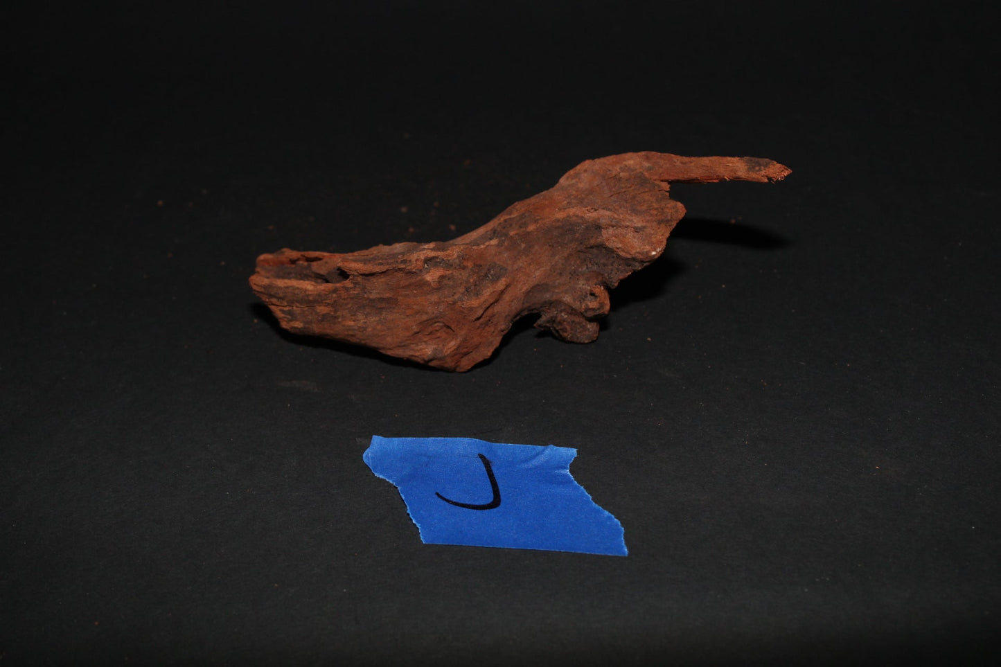 Driftwood - Superior Shrimp & Aquatics
