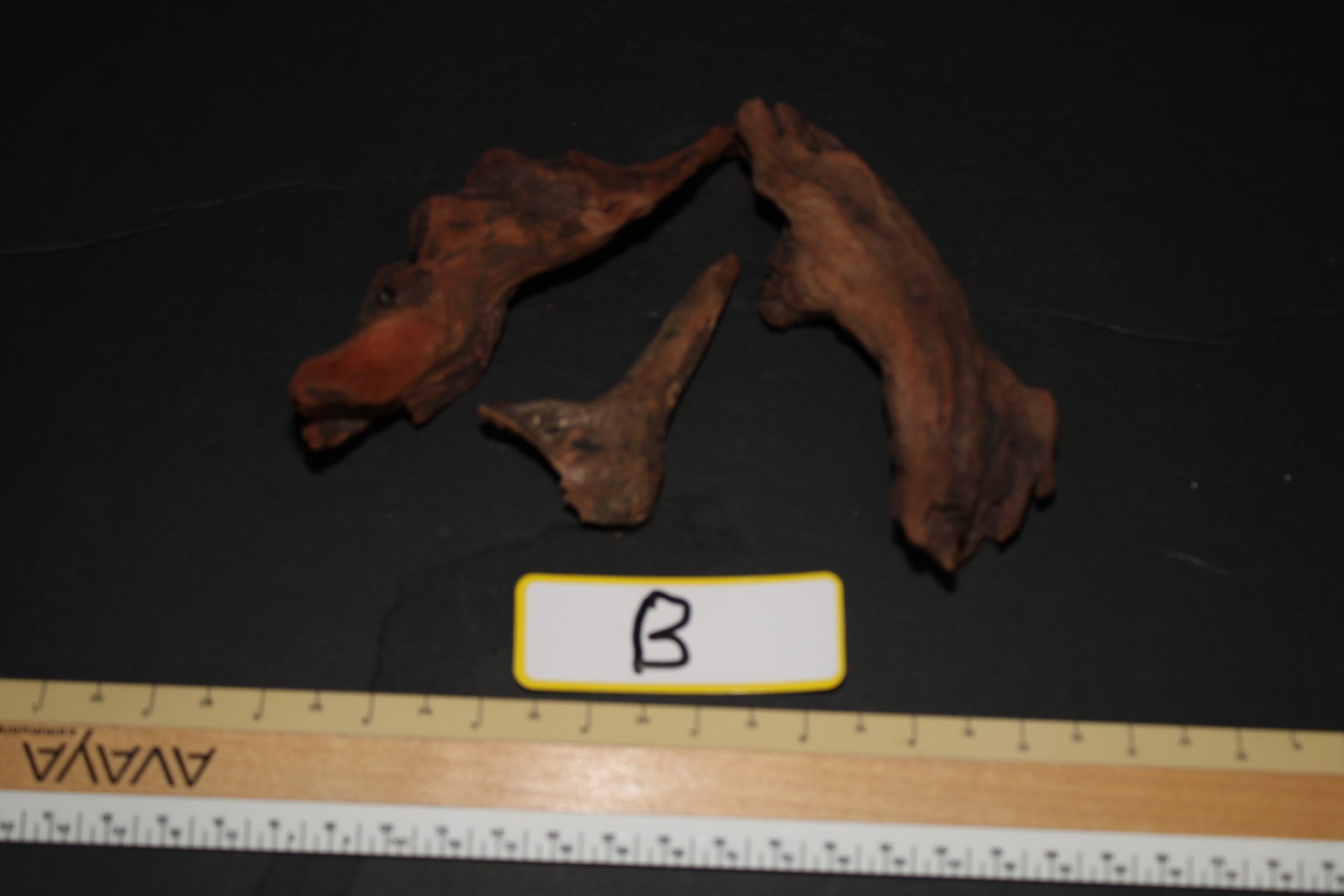 Driftwood - Superior Shrimp & Aquatics