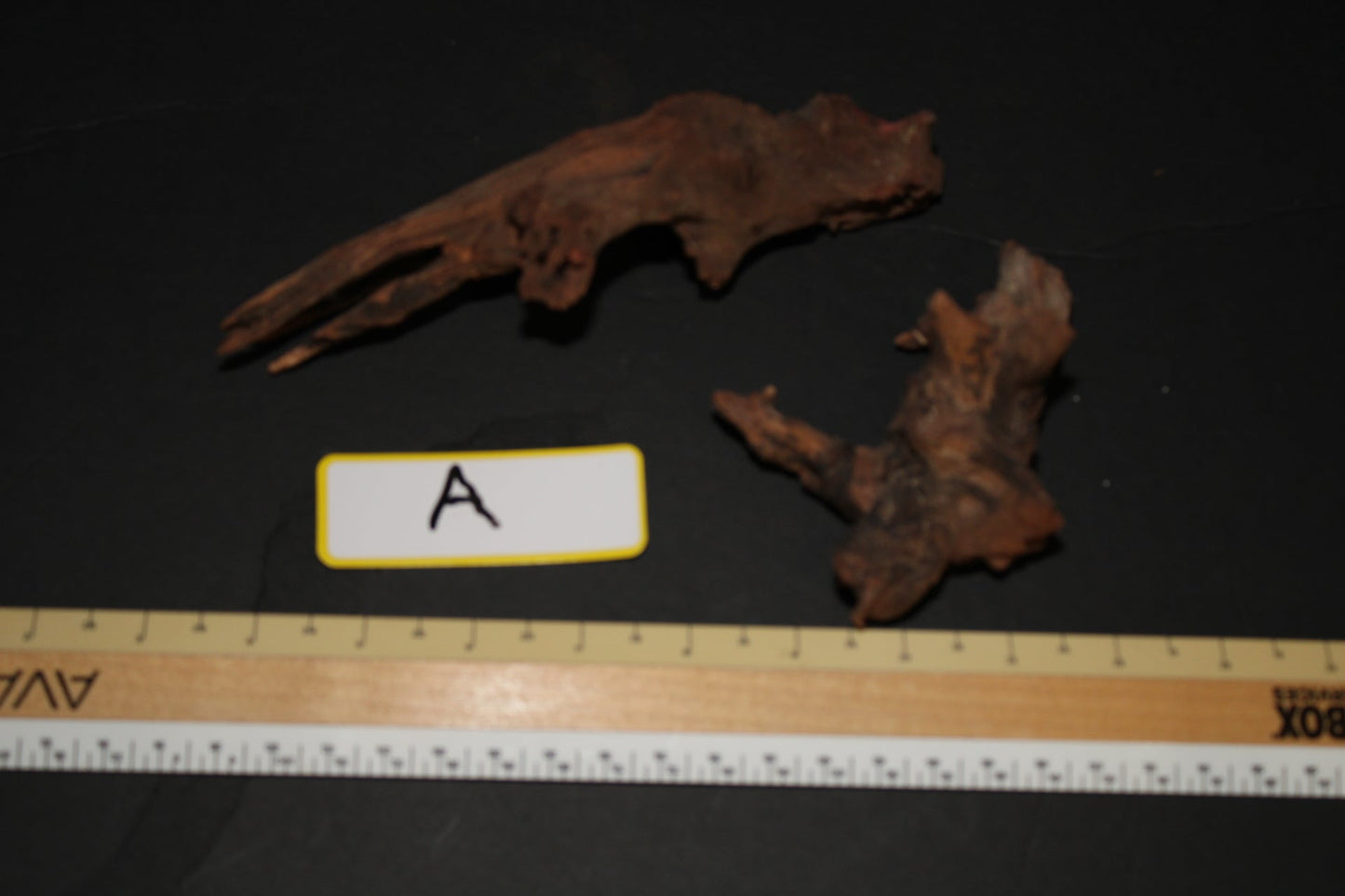 Driftwood - Superior Shrimp & Aquatics