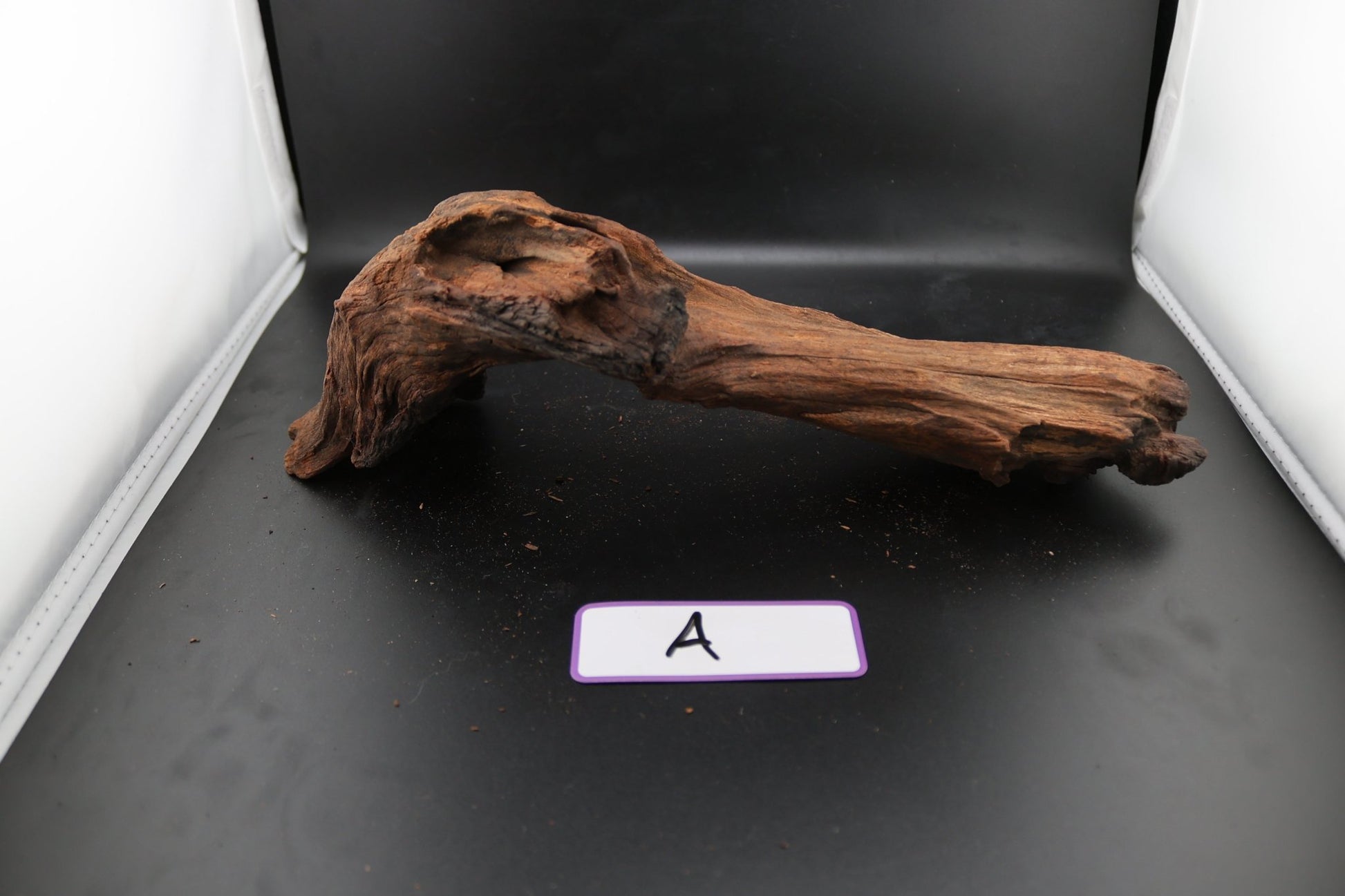 Driftwood - Superior Shrimp & Aquatics