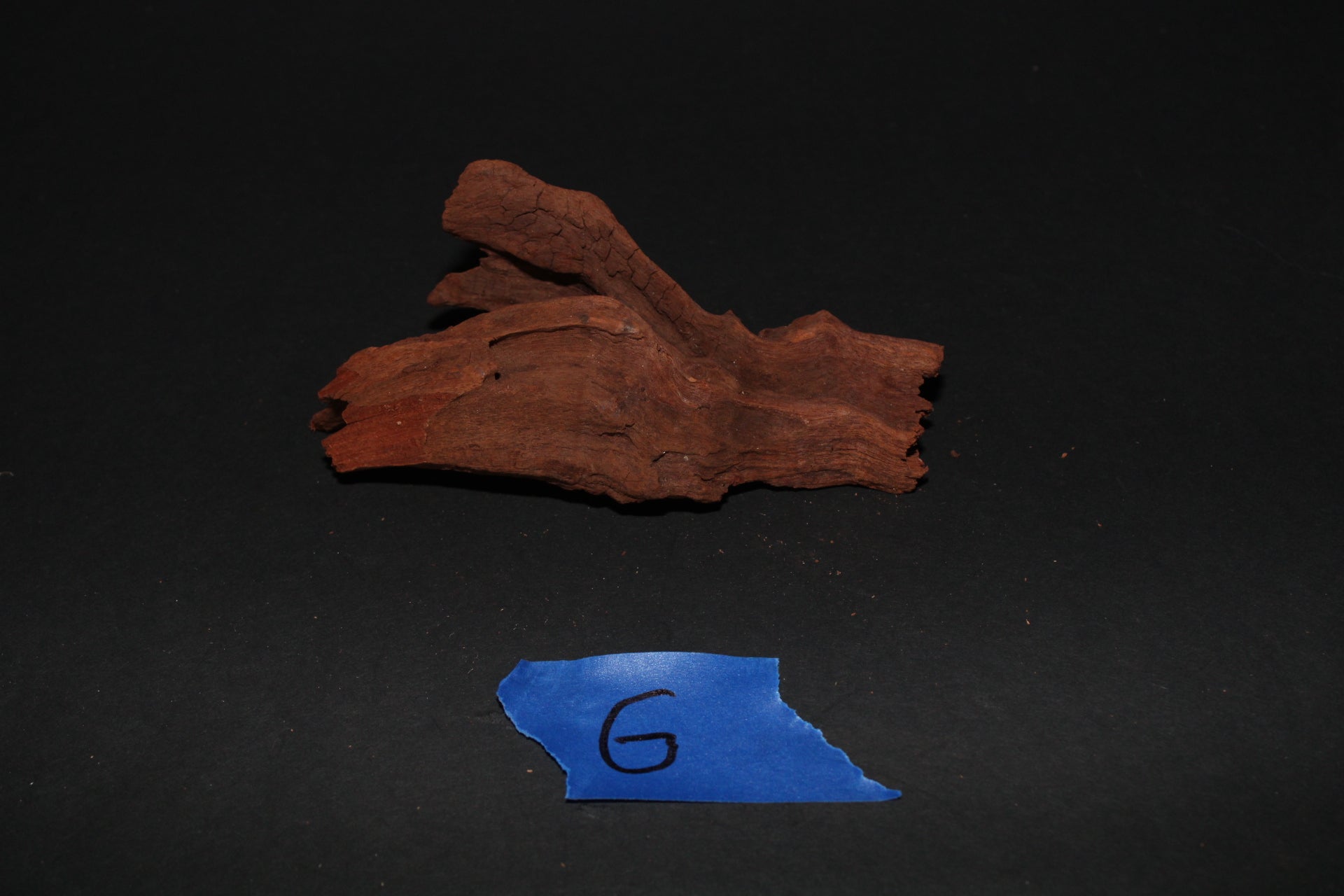 Driftwood - Superior Shrimp & Aquatics