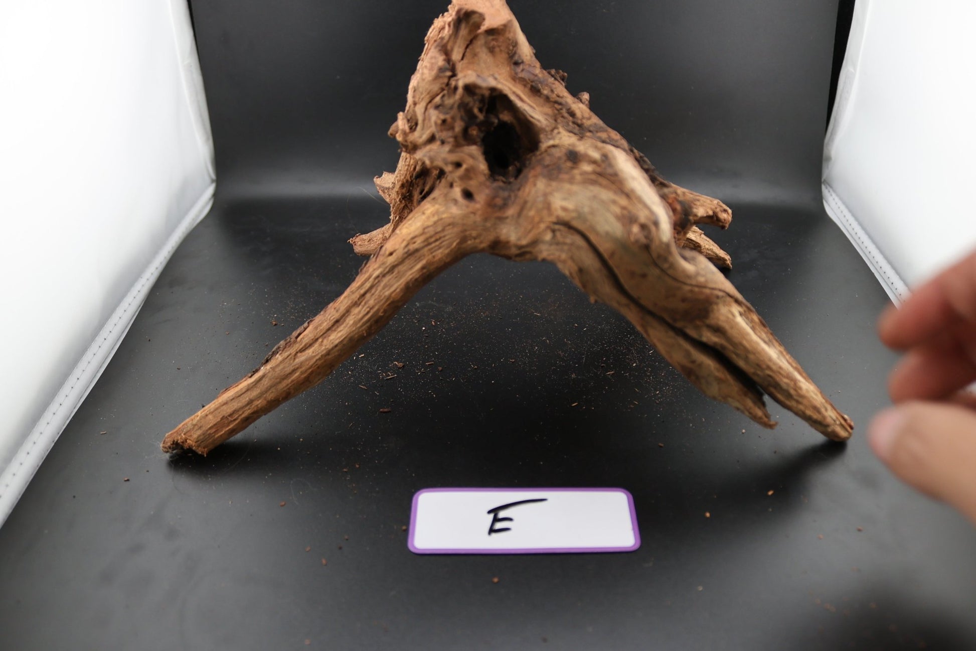 Driftwood - Superior Shrimp & Aquatics