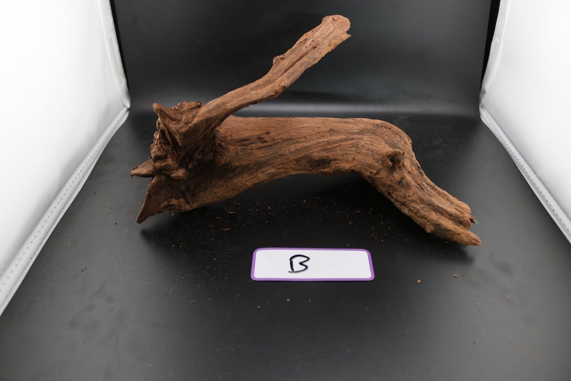 Driftwood - Superior Shrimp & Aquatics