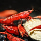 Dark Fire Red W/ Backline Cherry - Superior Shrimp & Aquatics