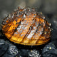 King Koopa Nerite Snail (Neritina juttingae) - Superior Shrimp & Aquatics