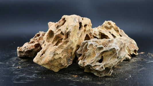 Red Dragon Stone - Superior Shrimp & Aquatics