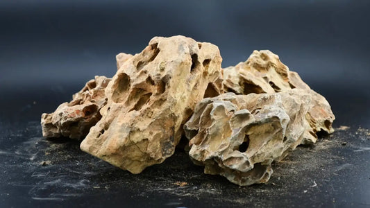 Red Dragon Stone - Superior Shrimp & Aquatics