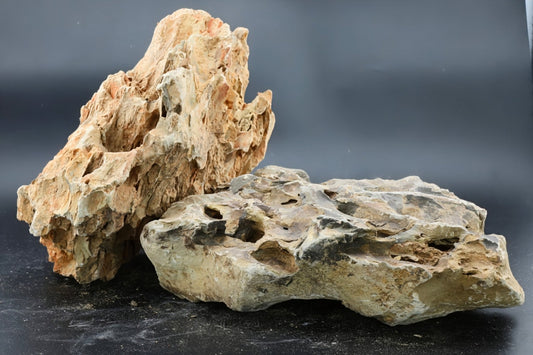 Red Dragon Stone - Superior Shrimp & Aquatics