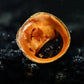 Red Lip Nerite Snail (Neritina violacea) - Snails