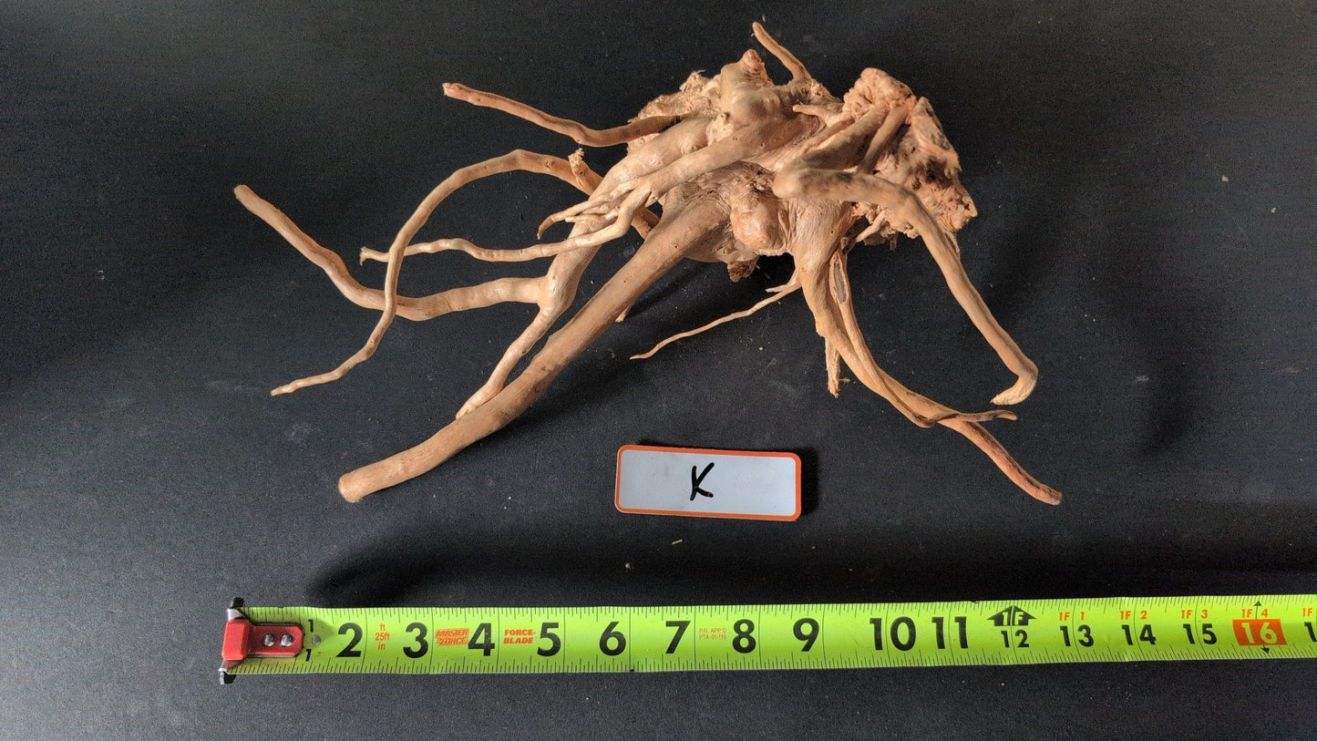 Spider Wood - Superior Shrimp & Aquatics