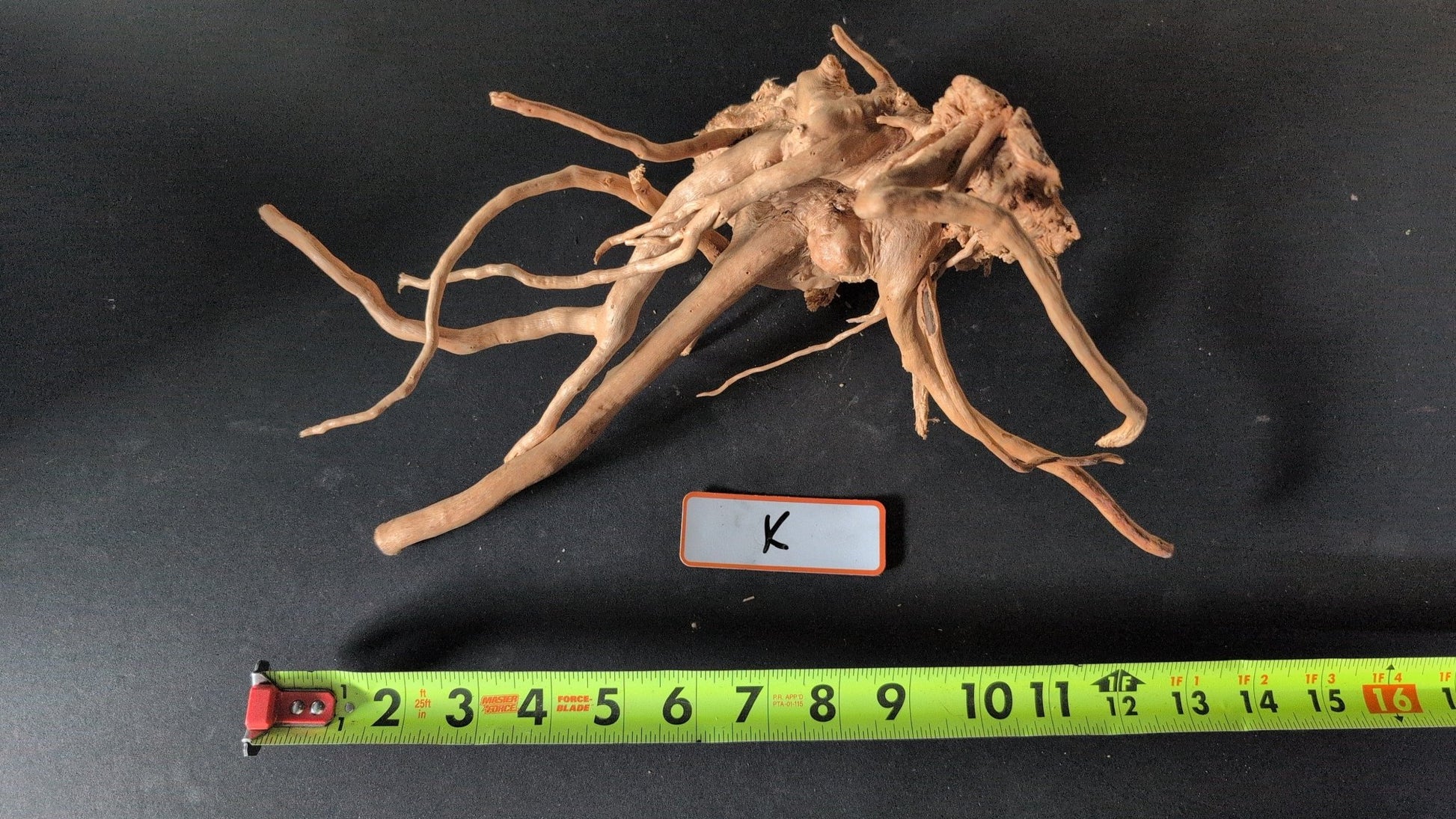Spider Wood - Superior Shrimp & Aquatics