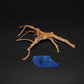 Spider Wood - Superior Shrimp & Aquatics