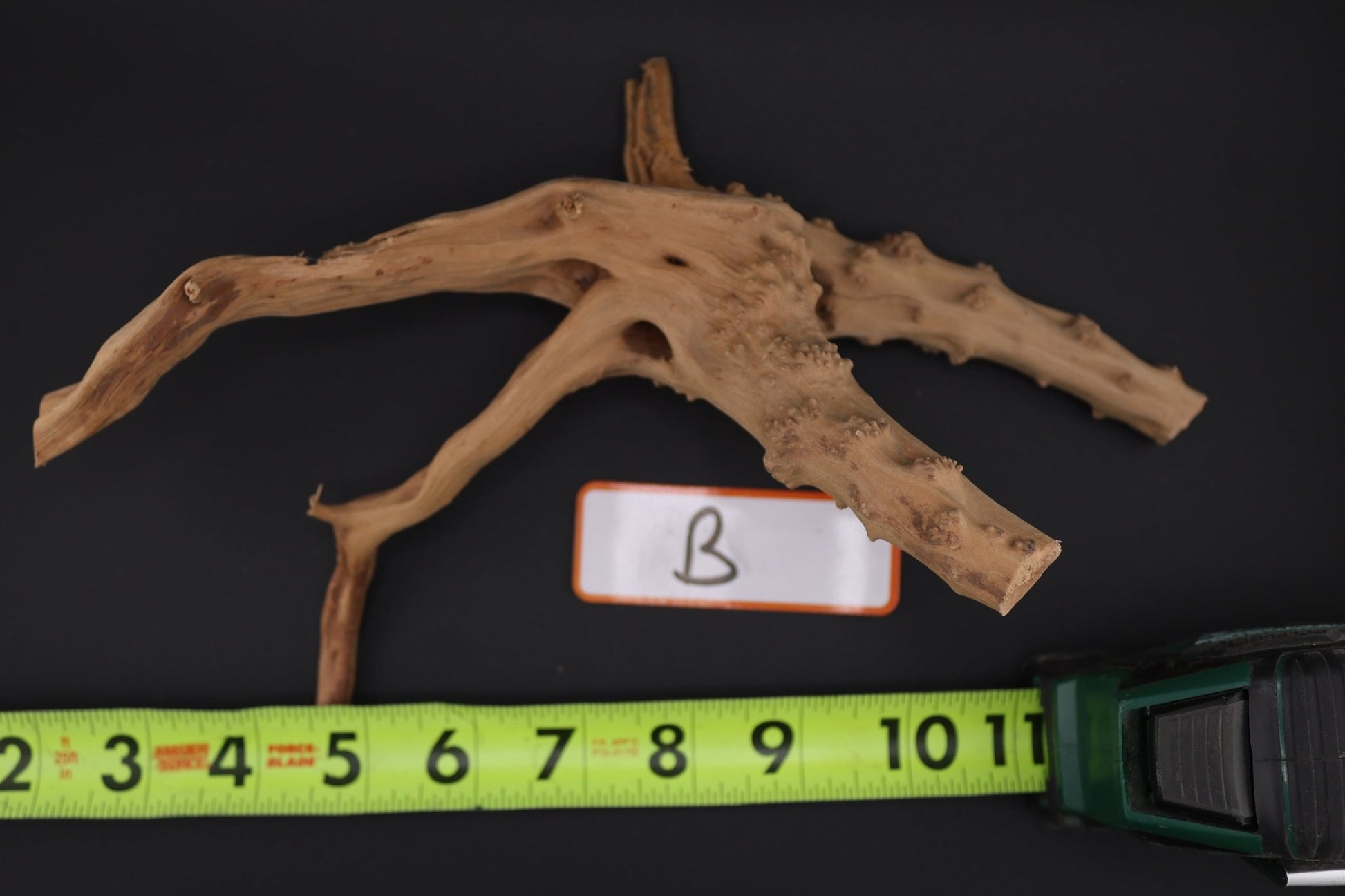 Spider Wood - Superior Shrimp & Aquatics