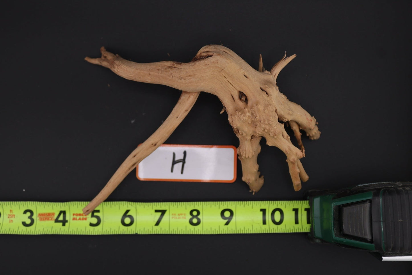 Spider Wood - Superior Shrimp & Aquatics